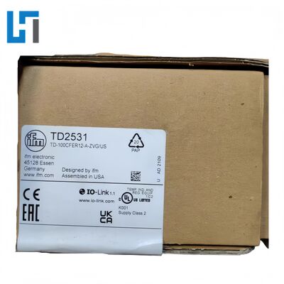 TD2531 IFM Temperature Transmitter New Original  Plc Programming Controller Module